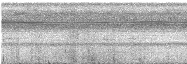 Cinereous Tinamou - ML613983346