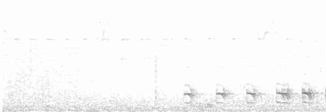 hvitflankemaursmett (luctuosa) - ML613983560