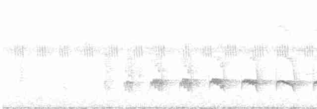 hvitflankemaursmett (luctuosa) - ML613983561