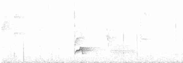 Kırlangıç Kuyruklu Kolibri - ML613983924