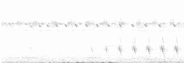 Serra Karıncakuşu (serrana/interposita) - ML613984397