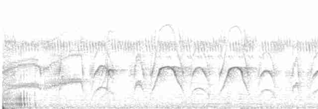 Jacamar tridactyle - ML613984402