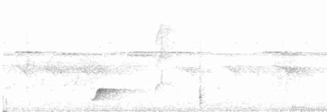 Streifenbrust-Ameisendrossel - ML613985259