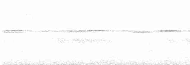 Пятнистоклювый туканчик - ML613985265