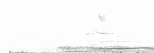 Желтоклювый голубь - ML613985924