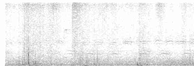 Weißbrustkleiber - ML613987019