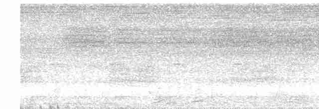 Lattice-tailed Trogon - ML613987692