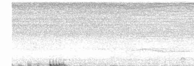 Lattice-tailed Trogon - ML613987693