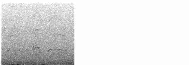 太平洋金斑鴴 - ML613988665