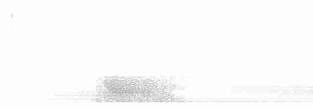 Black-crested Antshrike - ML613991800