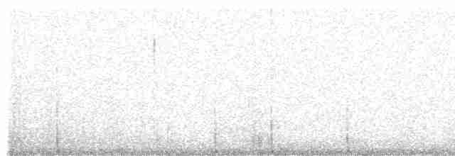 hvitbrynsvartspett - ML613992832