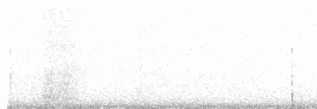 hvitbrynsvartspett - ML613992833