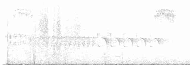 křivka bělokřídlá - ML613994749