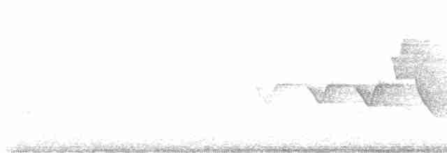 Hooded Warbler - ML613994806