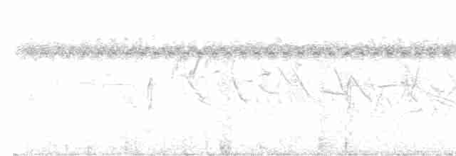Curve-billed Reedhaunter - ML613995629