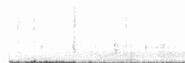 Australian Reed Warbler - ML614000761