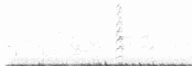 Кактусовый дятел - ML614002726