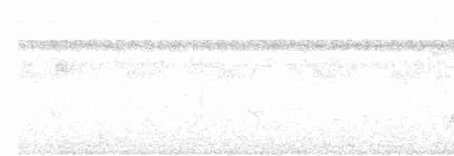 Weißkehl-Ameisenvogel - ML614004171
