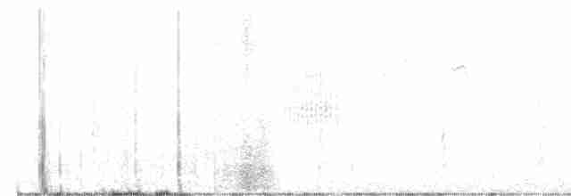 巨嘴柳鶯 - ML614008264