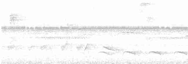 hvitskjeggmaurvarsler - ML614012410