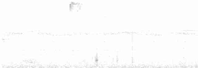 Haplospize unicolore - ML614012538