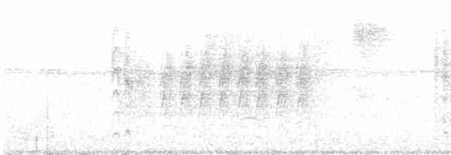 kastanjebukeufonia - ML614012591