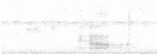 Пятнистоклювый туканчик - ML614012619