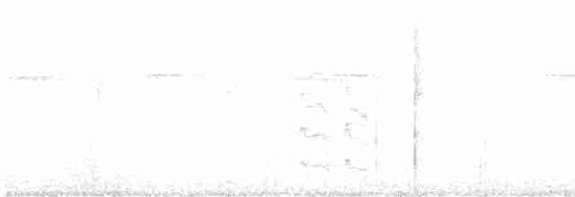 Unicolored Antwren - ML614012646