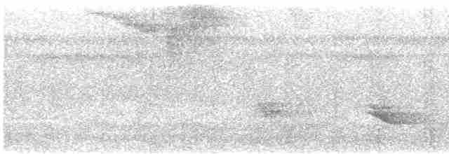 Зернолуск антильський - ML614012681