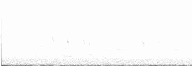 "Шишкар ялиновий (Appalachian, або тип 1)" - ML614013680
