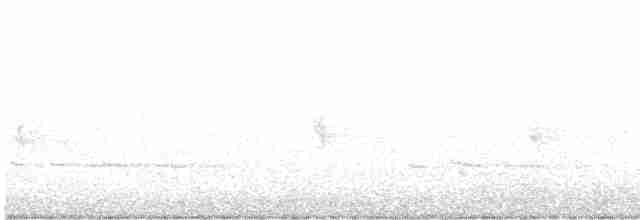 "Шишкар ялиновий (Appalachian, або тип 1)" - ML614013681