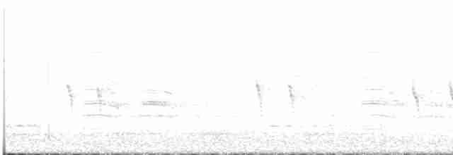 "Шишкар ялиновий (Appalachian, або тип 1)" - ML614013683