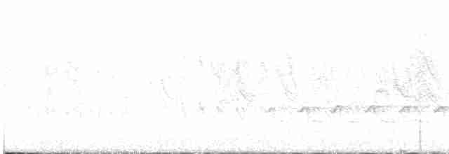 Çam İsketesi (pinus/macropterus) - ML614013686
