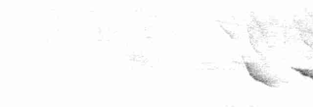 Белогорлый сальтатор - ML614013896