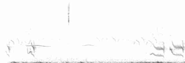Патагонский пересмешник - ML614014566
