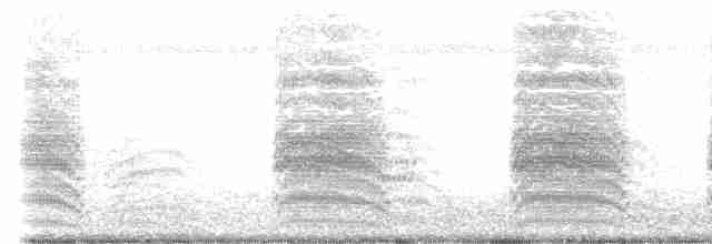Сероголовая чайка - ML614014694