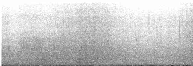 扁嘴海雀 - ML614014781