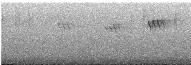Серый ополовничек [группа minimus] - ML614014807