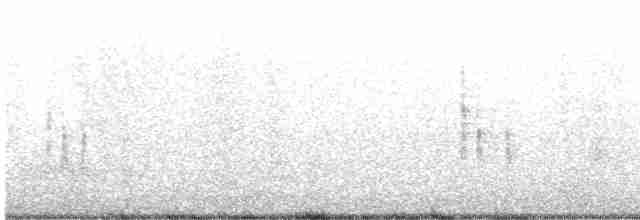Piranga vermillon - ML614015016