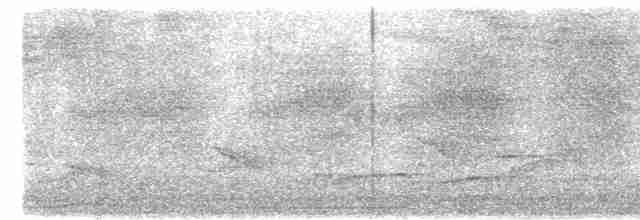 Weißbrust-Spottdrossel (sanctaeluciae) - ML614015041