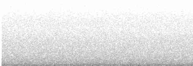 Colibri d'Anna - ML614015205