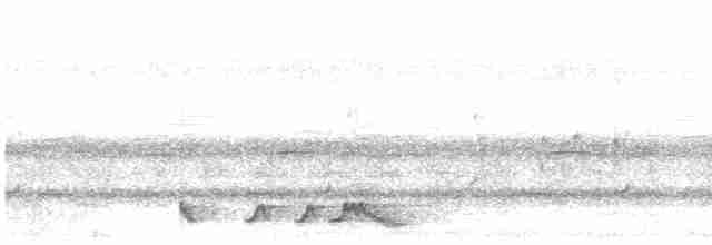 lelek rezavý (ssp. otiosus) - ML614015220