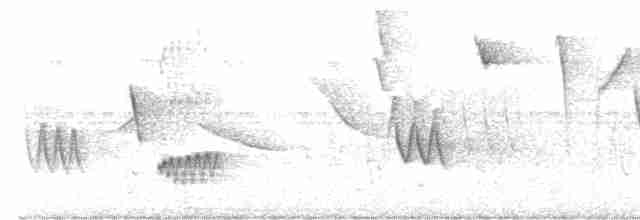 Горличка білолоба - ML614015262