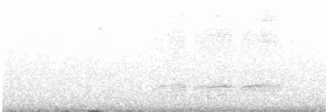 Ak Tepeli Baştankara - ML614015291