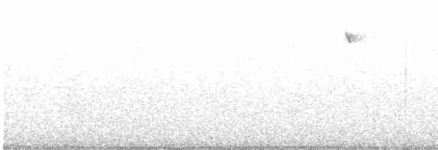 Karolina Baştankarası - ML614015294