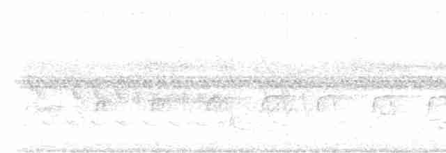 Giant Antshrike - ML614015302