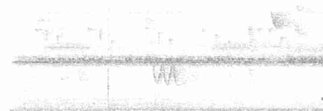 Мурашниця білогорла - ML614015303