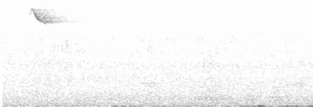 Dacnis Azul - ML614015306