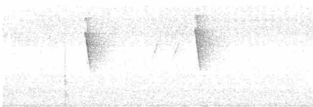 Tangara émeraude - ML614015308