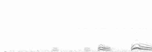 Сова-лісовик смугаста - ML614015384
